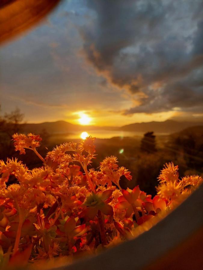 Guest House Pocanic ティヴァト エクステリア 写真